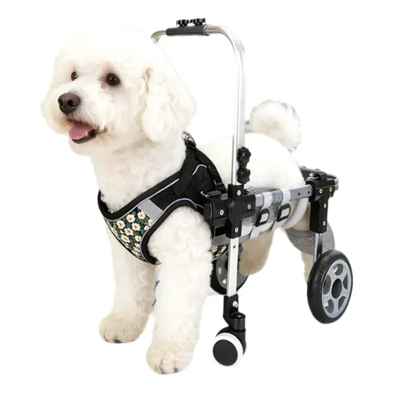 +cadeira De Rodas 4 Rodas Para Cães Carrinho Para Cão 4 Roda