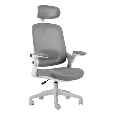 Cadeira De Escritório Astra Ergonômica Elements Cinza Branco