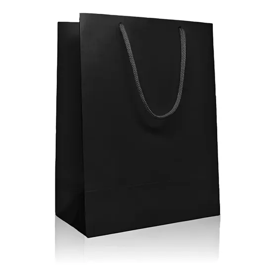 Sacola De Papel Preta 23x30x10 - Kit 50 Un. - EVER PACK